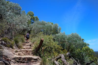 Climb Tomaree Head Summit