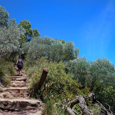Climb Tomaree Head Summit