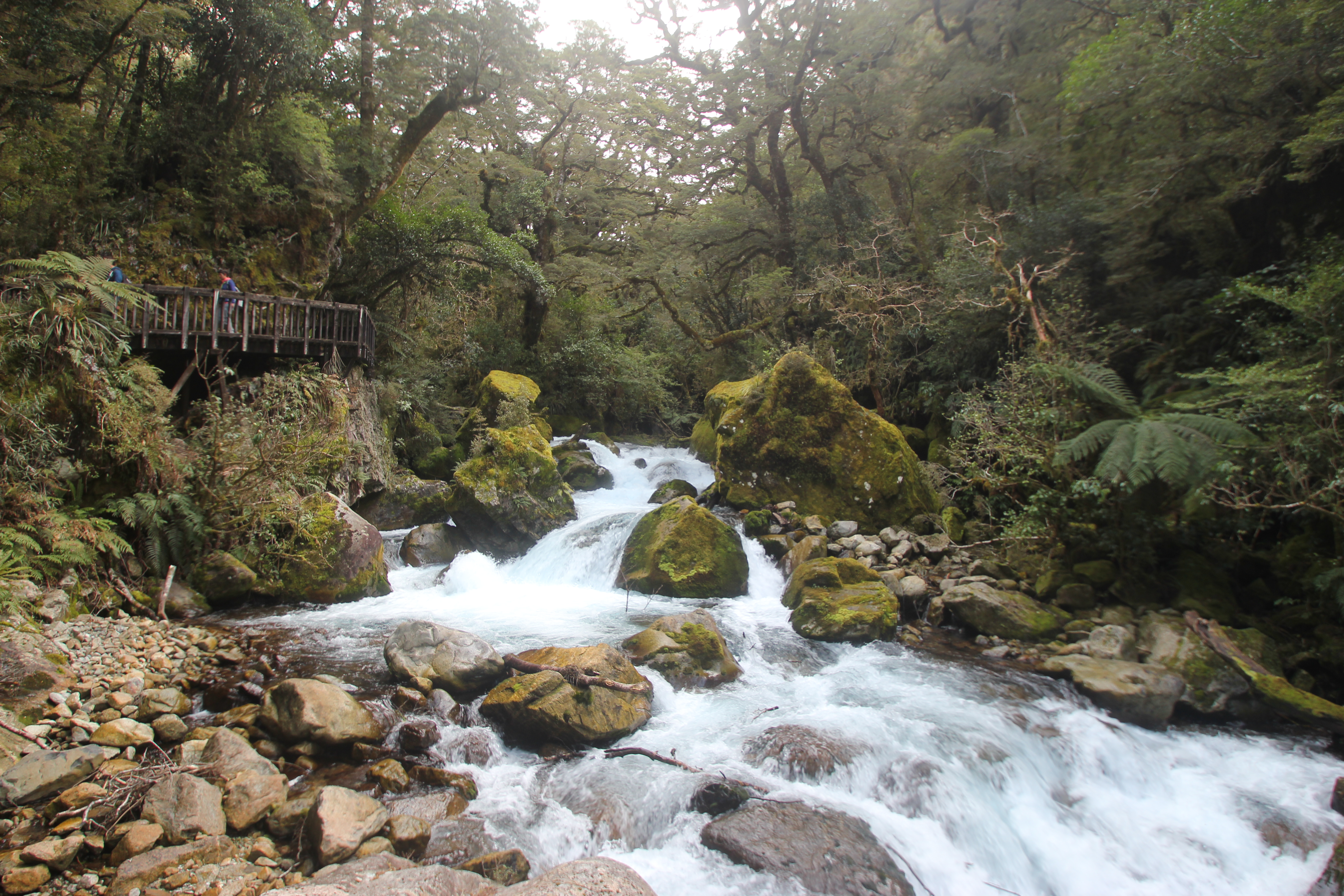 Hike to Lake Marian 