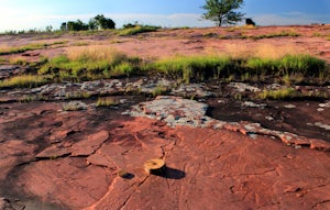 Explore Jeffers Petroglyphs