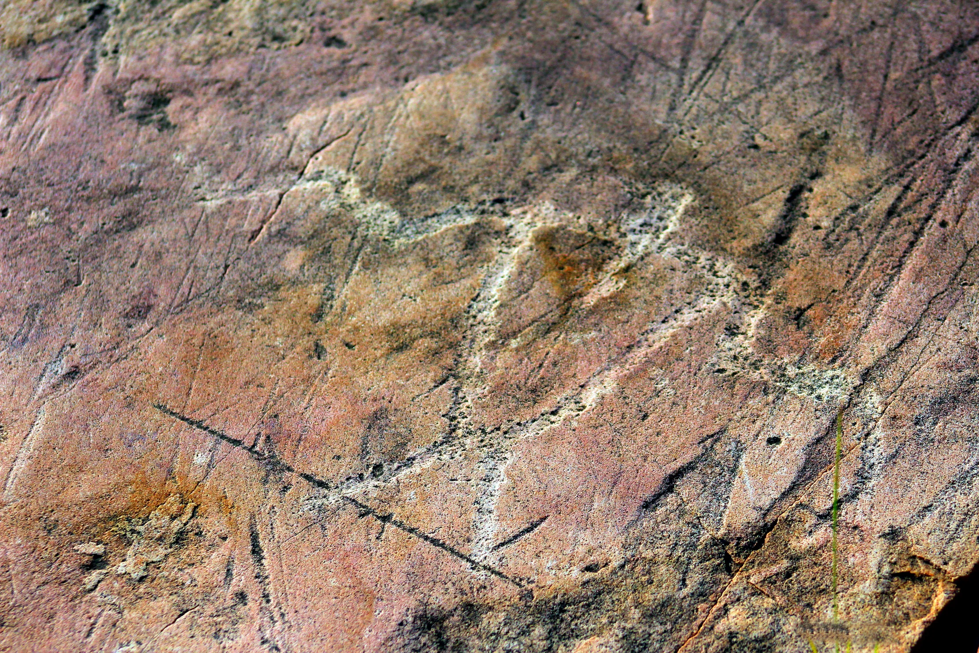 Explore Jeffers Petroglyphs