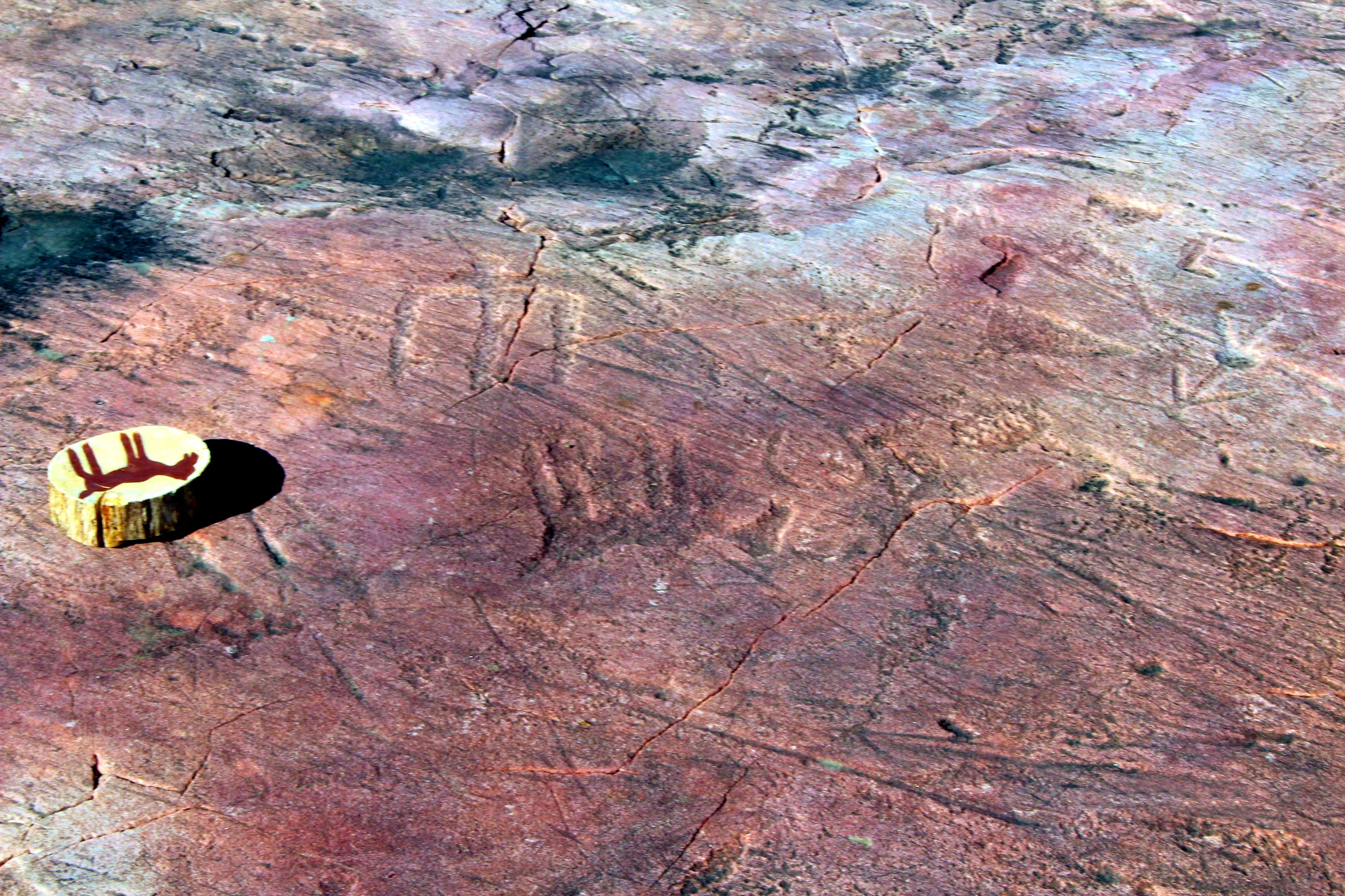 Explore Jeffers Petroglyphs