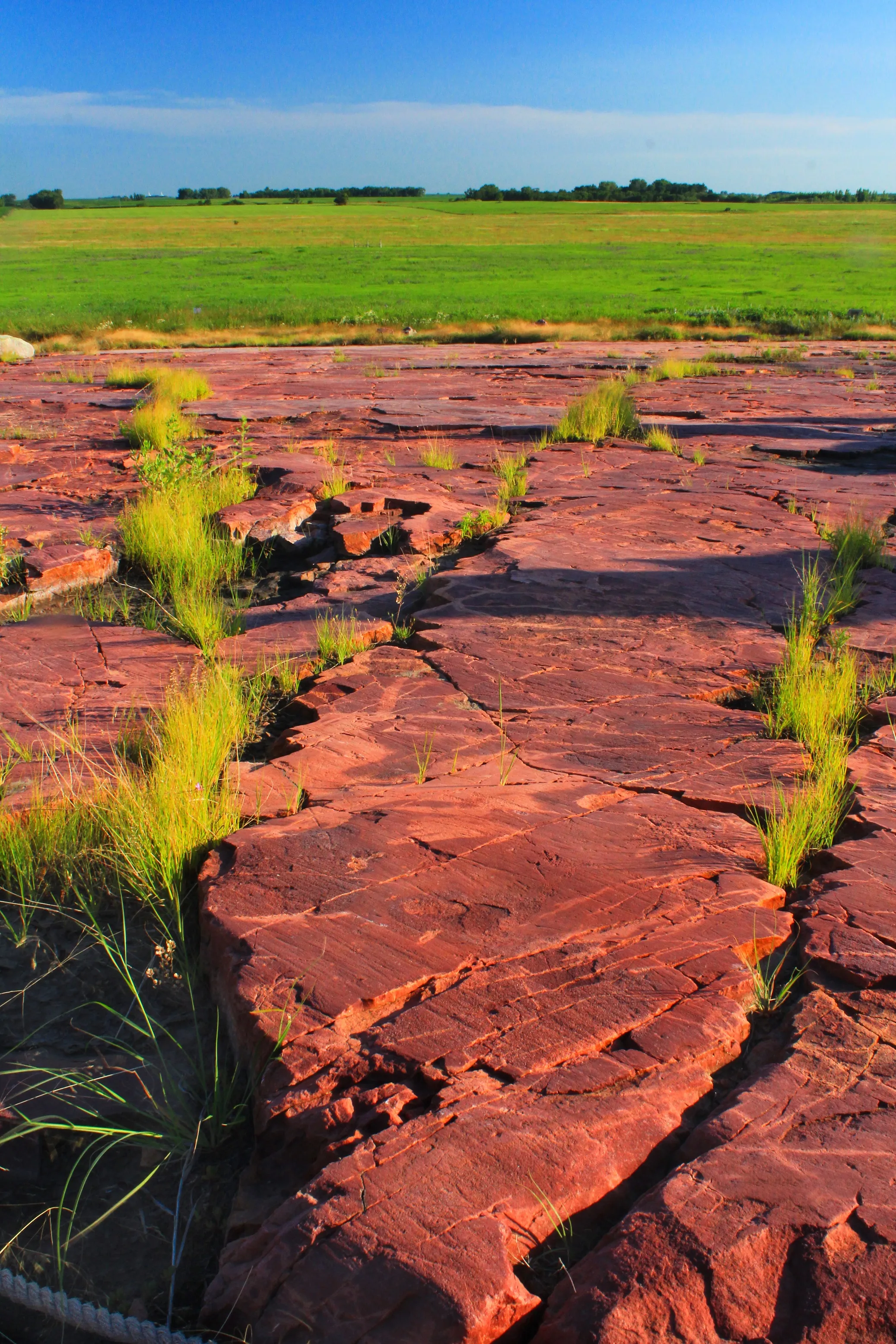 Explore Jeffers Petroglyphs