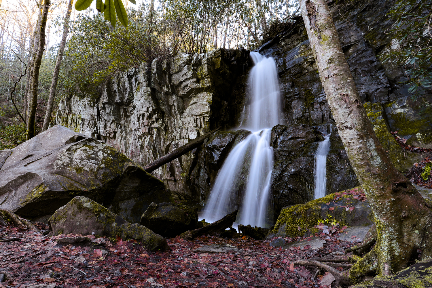 Hike to Baskins Creek Falls