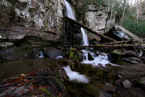 Hike to Baskins Creek Falls