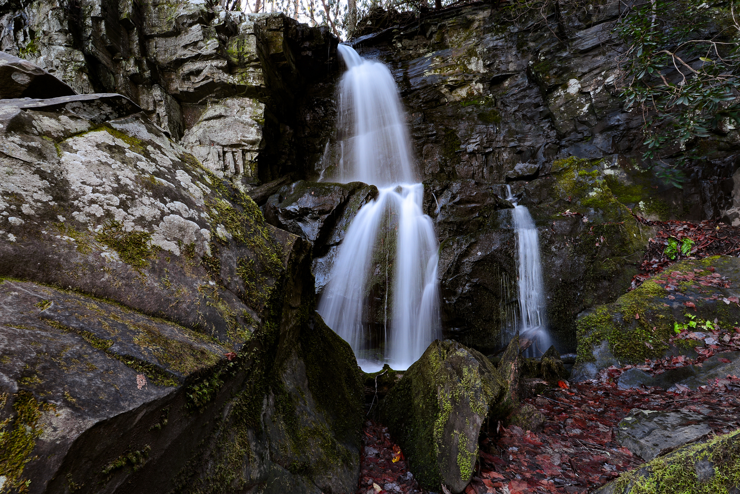 Hike to Baskins Creek Falls