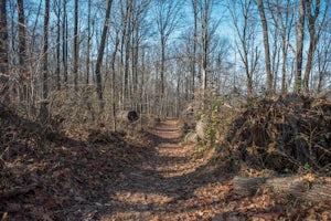 Hike the Baldpate Mountain Loop