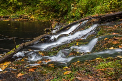 Hike to Alsea and Green Peak Falls, Alsea Falls Trailhead