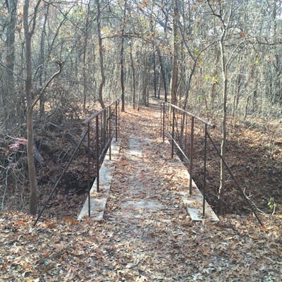 Arbor Hills Nature Preserve Loop