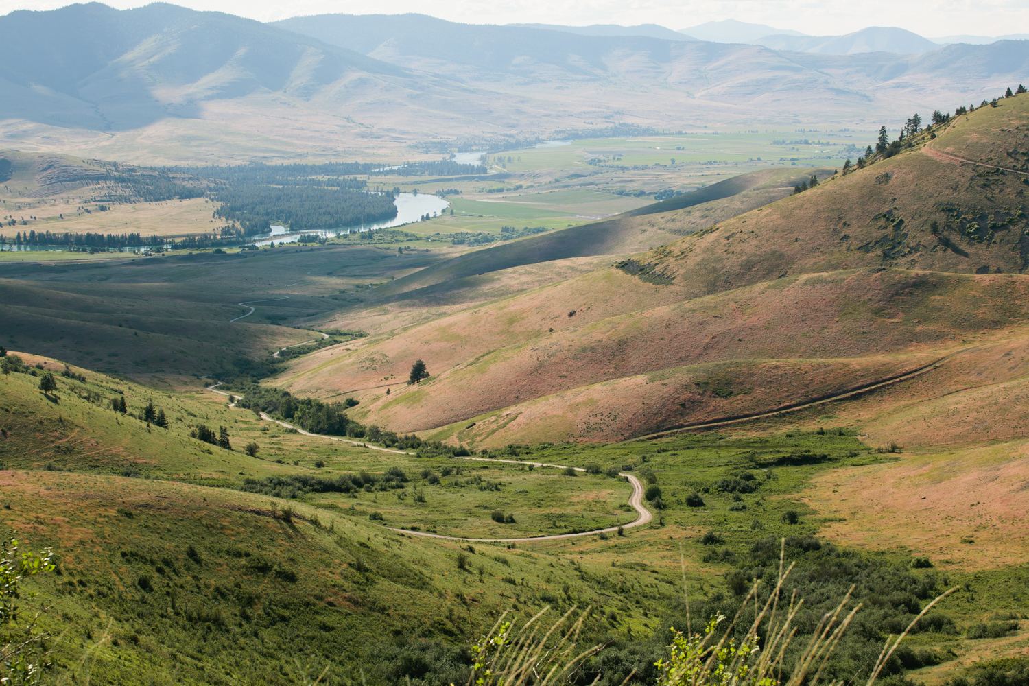 Photograph The National Bison Range