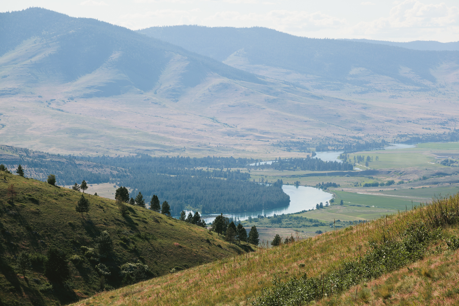 Photograph The National Bison Range