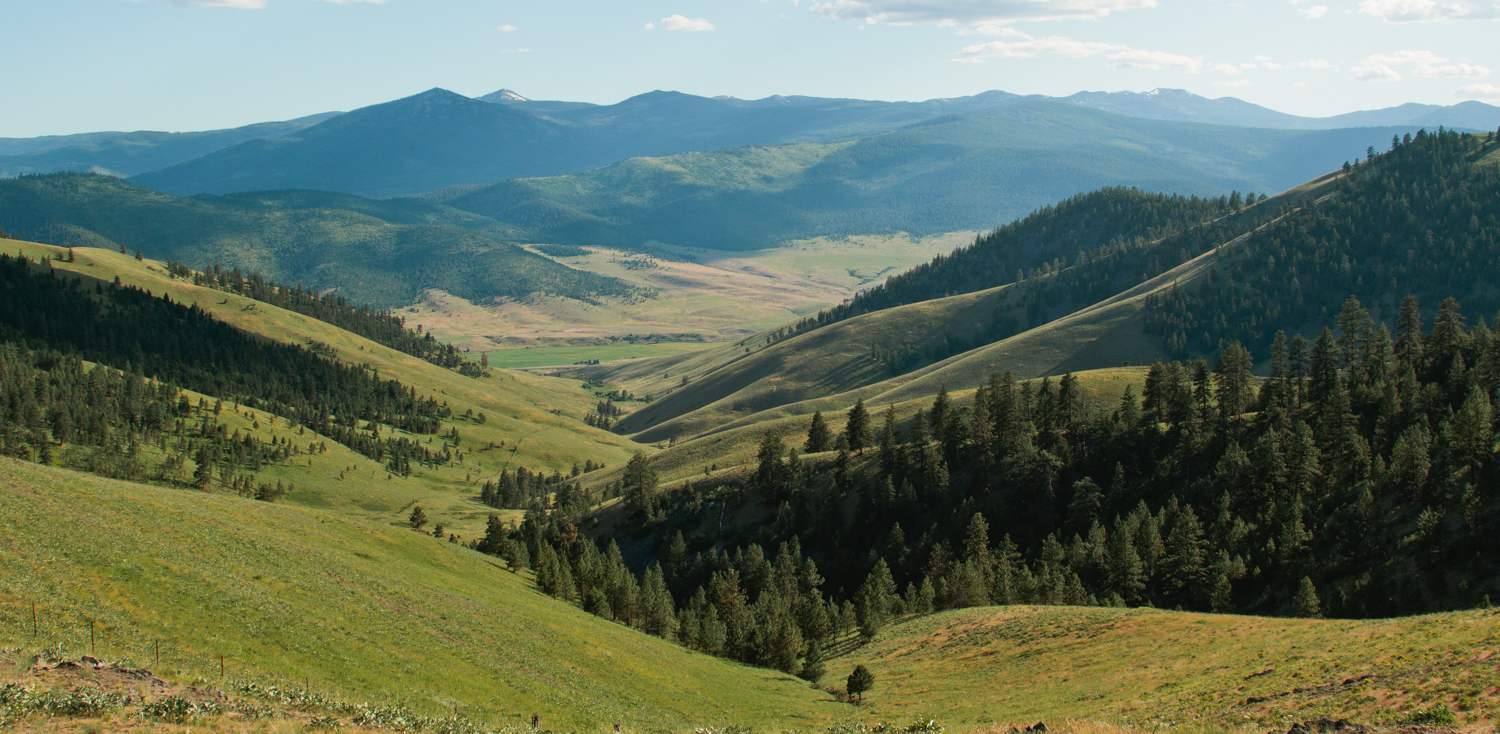 Photograph The National Bison Range