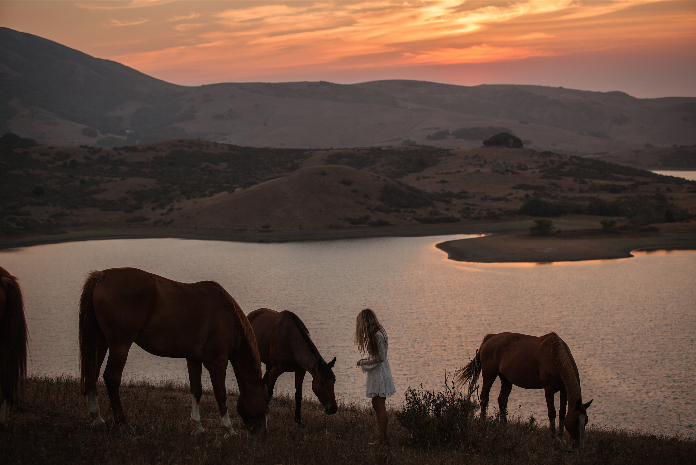 Nicasio Reservoir 