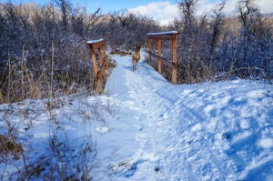 Green Pond Loop