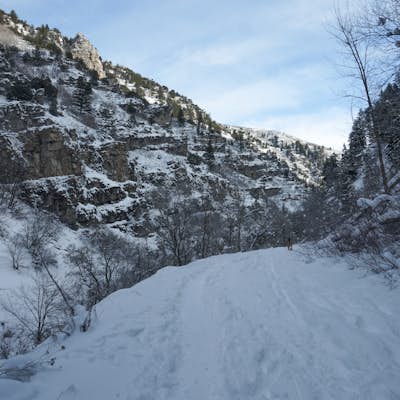 Winter Hike - Wheeler Creek and Ice Box