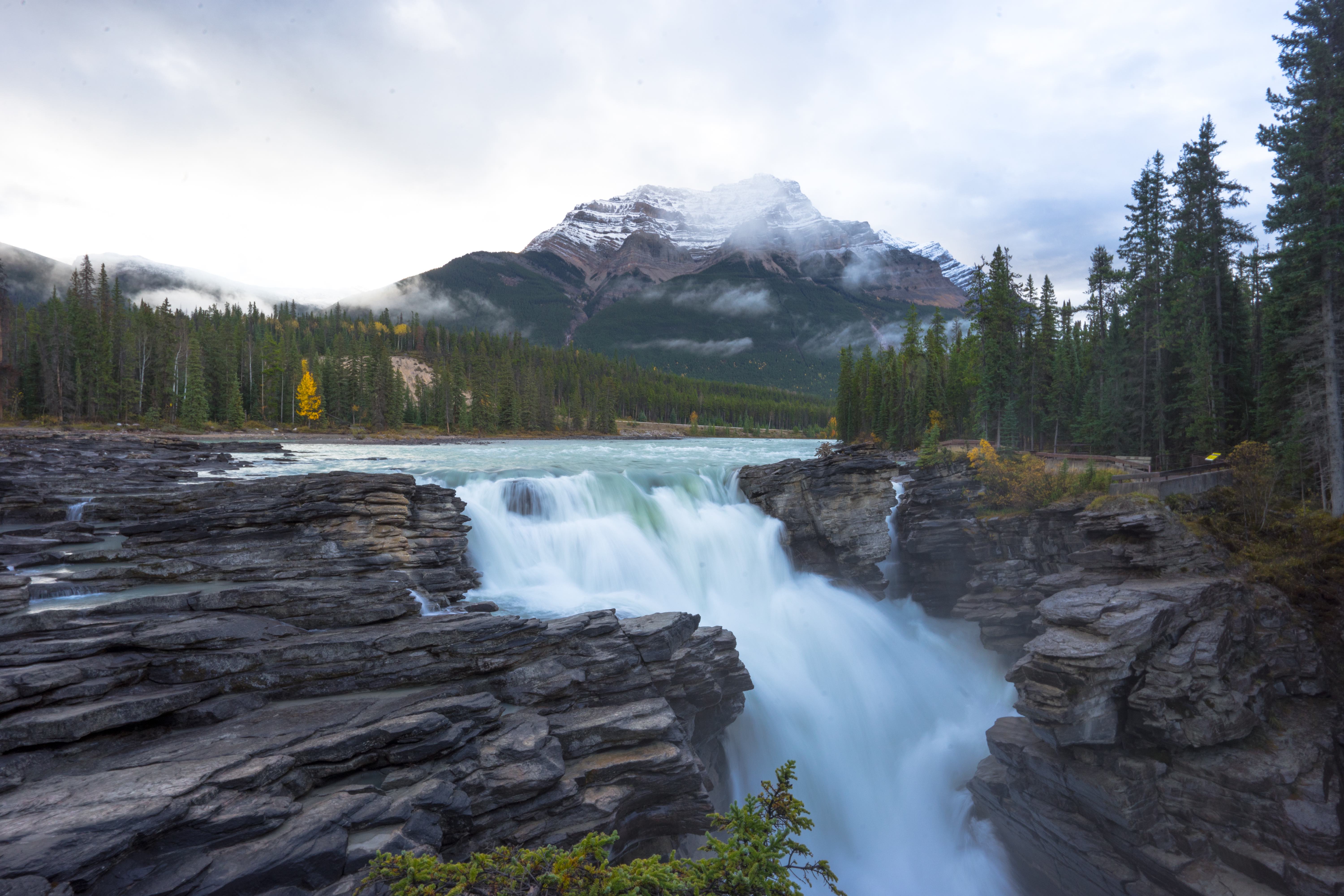 Athabasca Falls