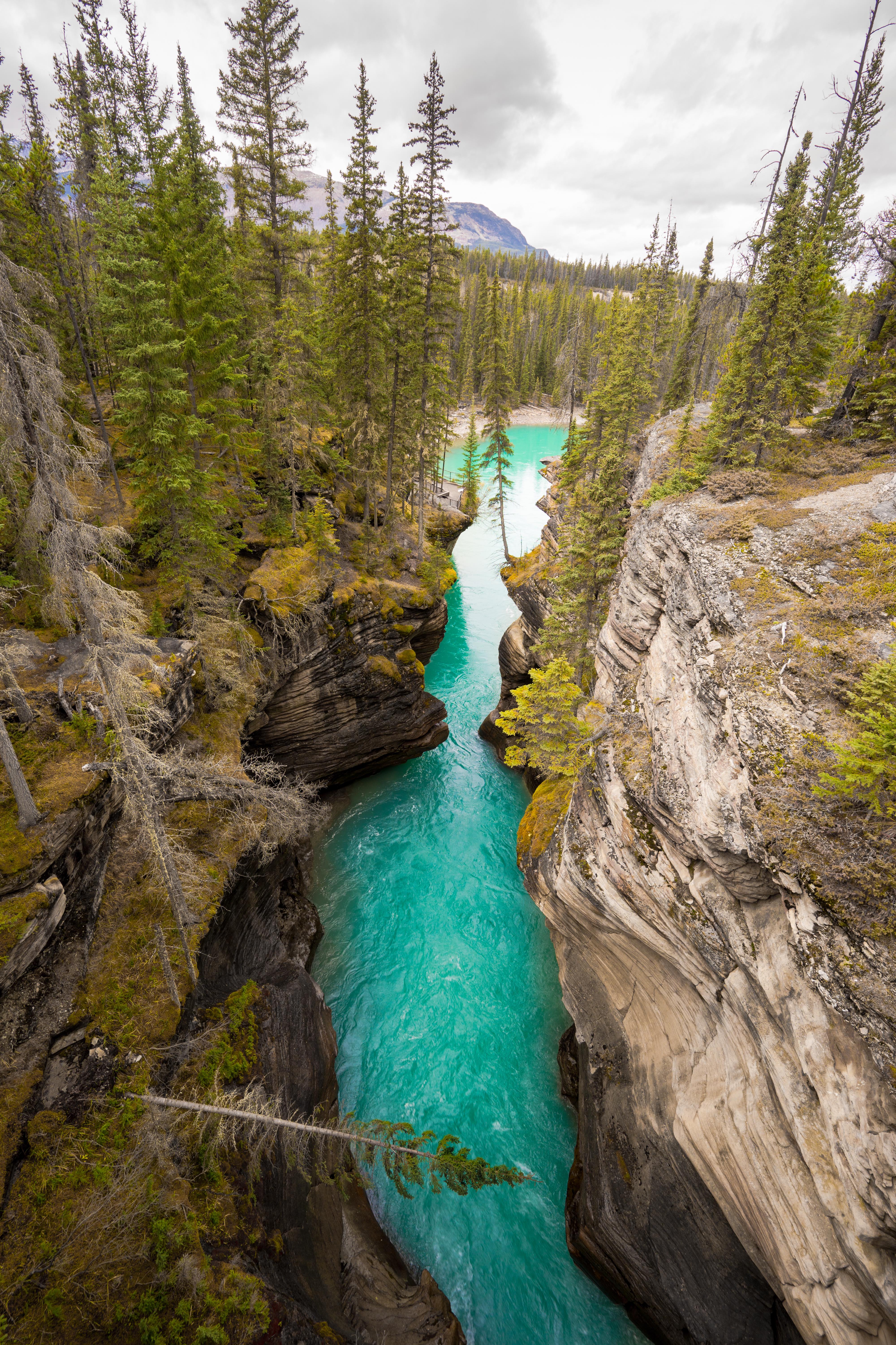 Athabasca Falls