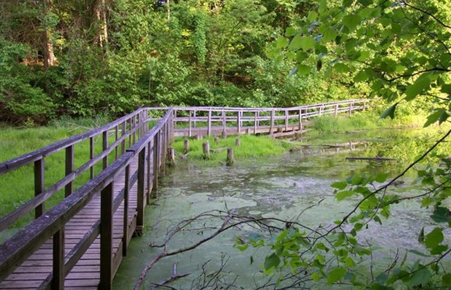 Wilderness Lake Trail