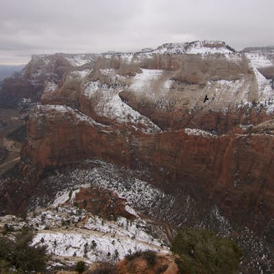 Winter Hike to Observation Point