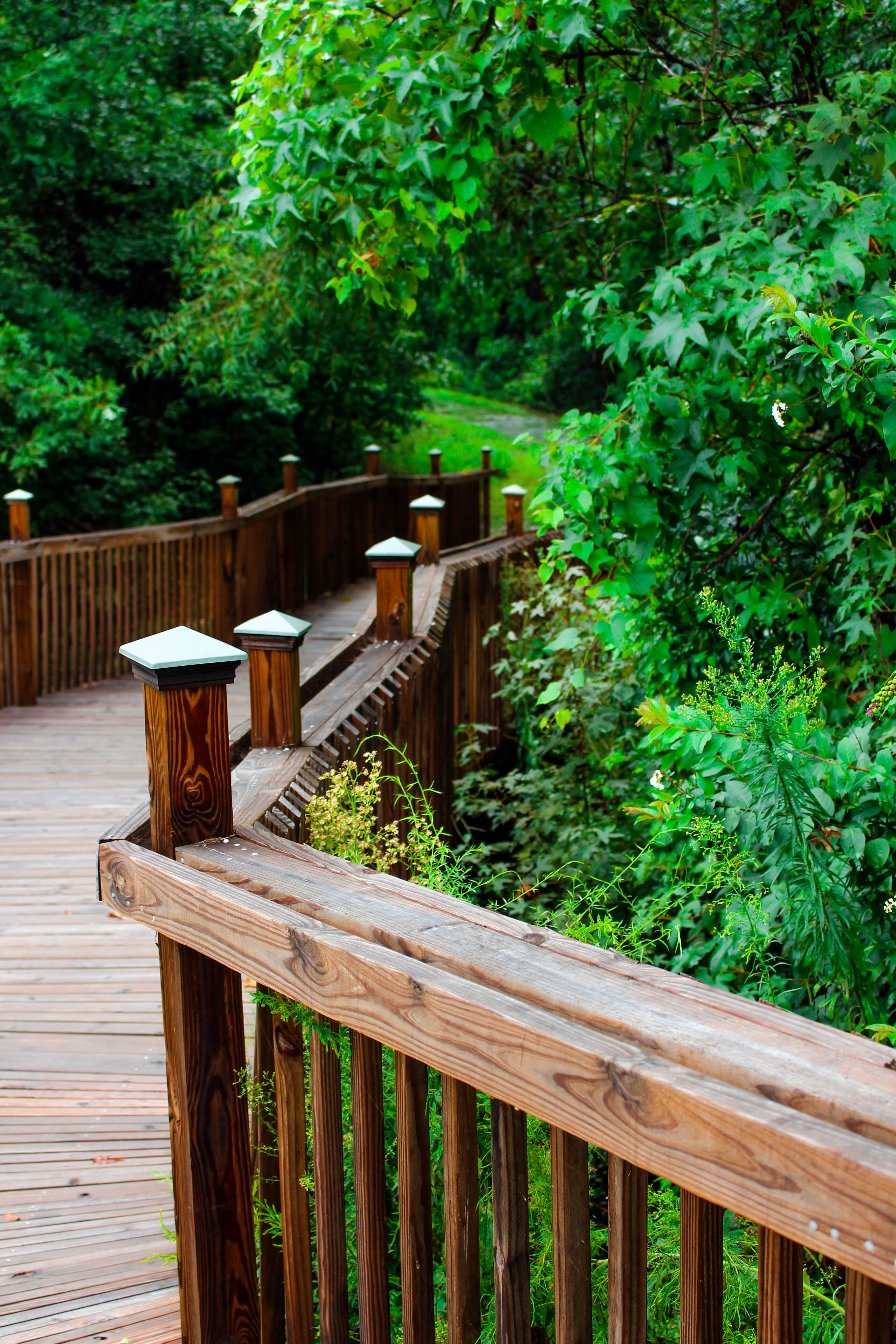 Hike the Fourteen Mile Creek Trail