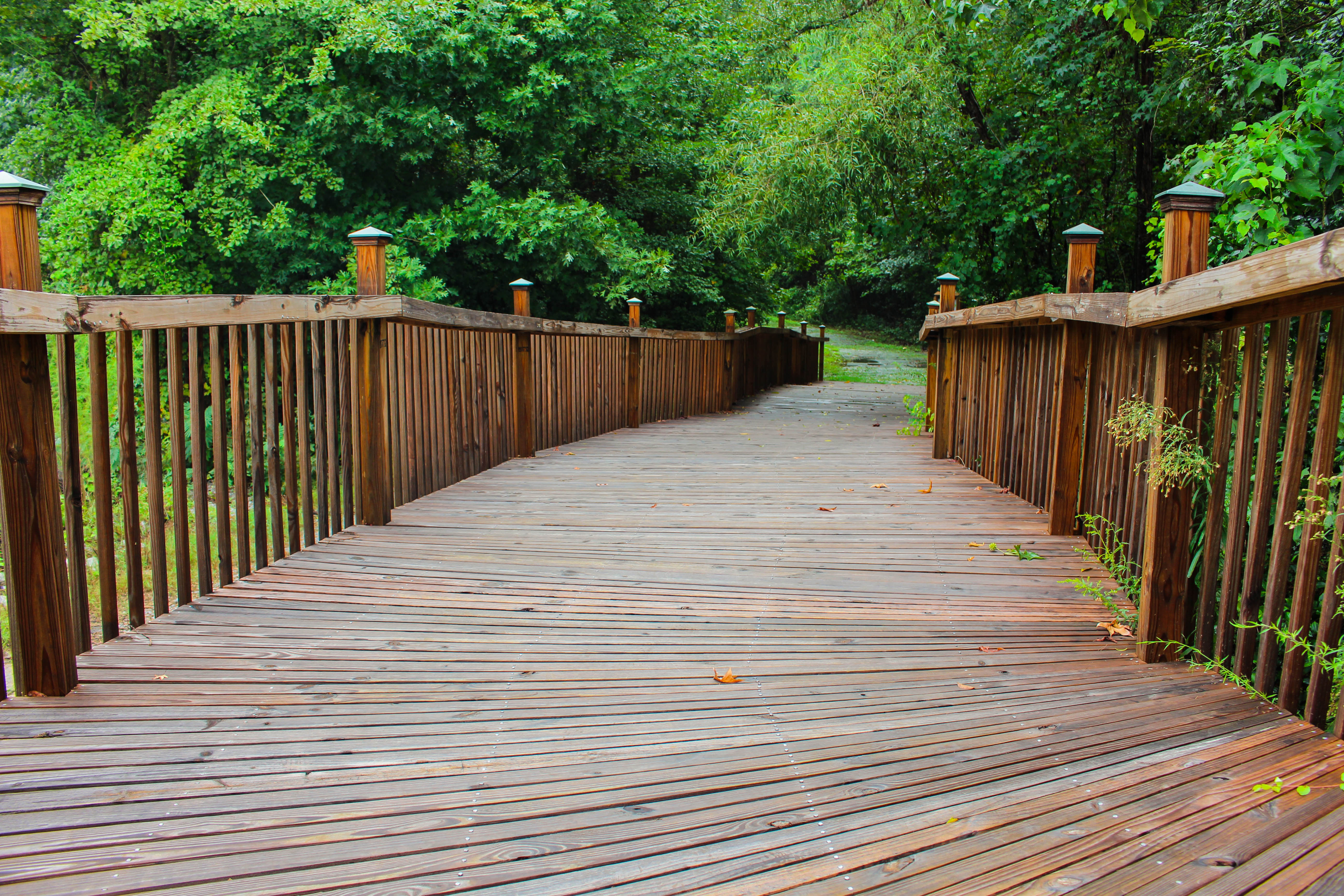 Hike the Fourteen Mile Creek Trail, Lexington, South Carolina