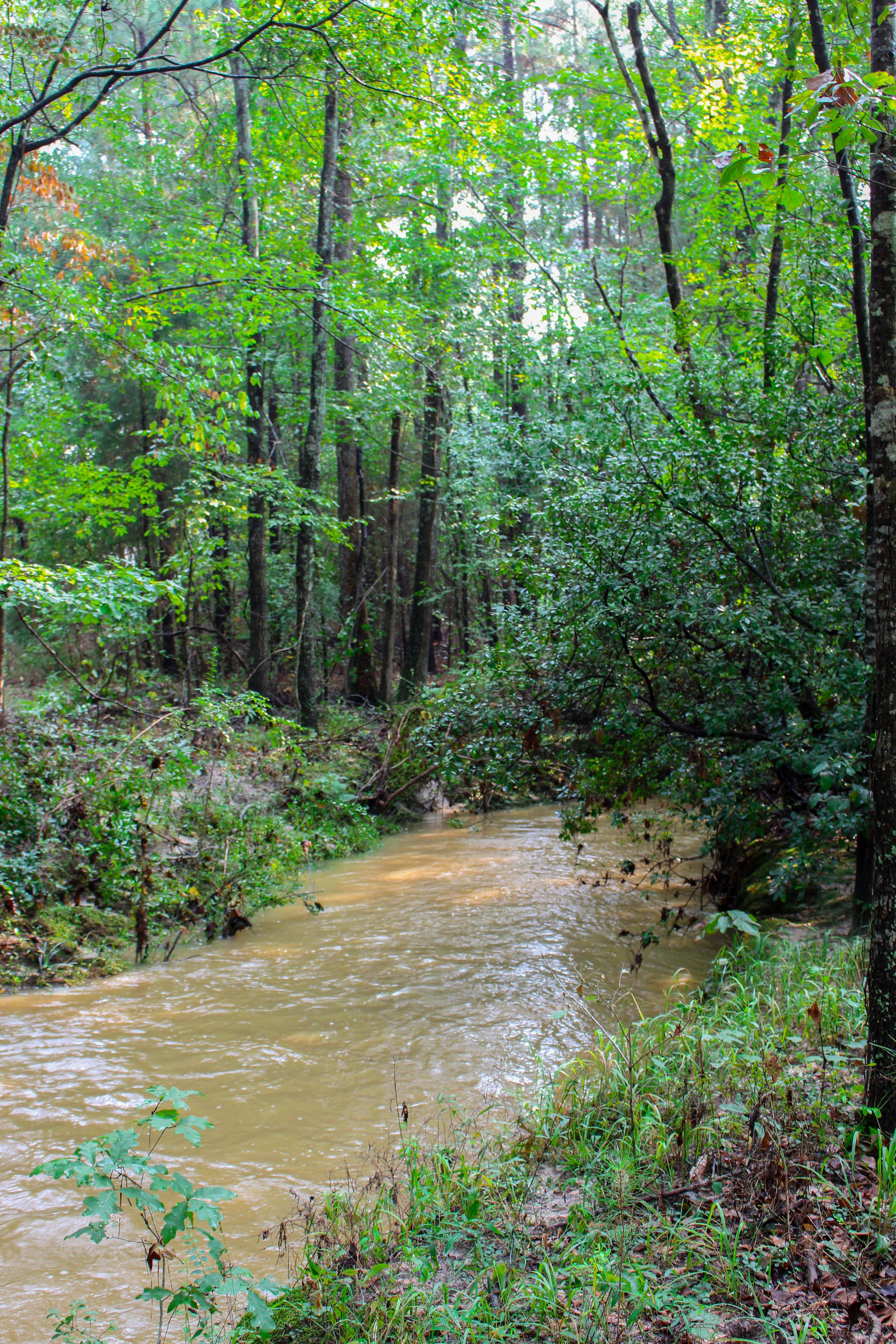 Hike the Fourteen Mile Creek Trail