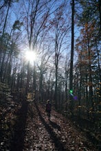 Hike Hot Springs Mountain then Soak at Buckstaff Bathhouse