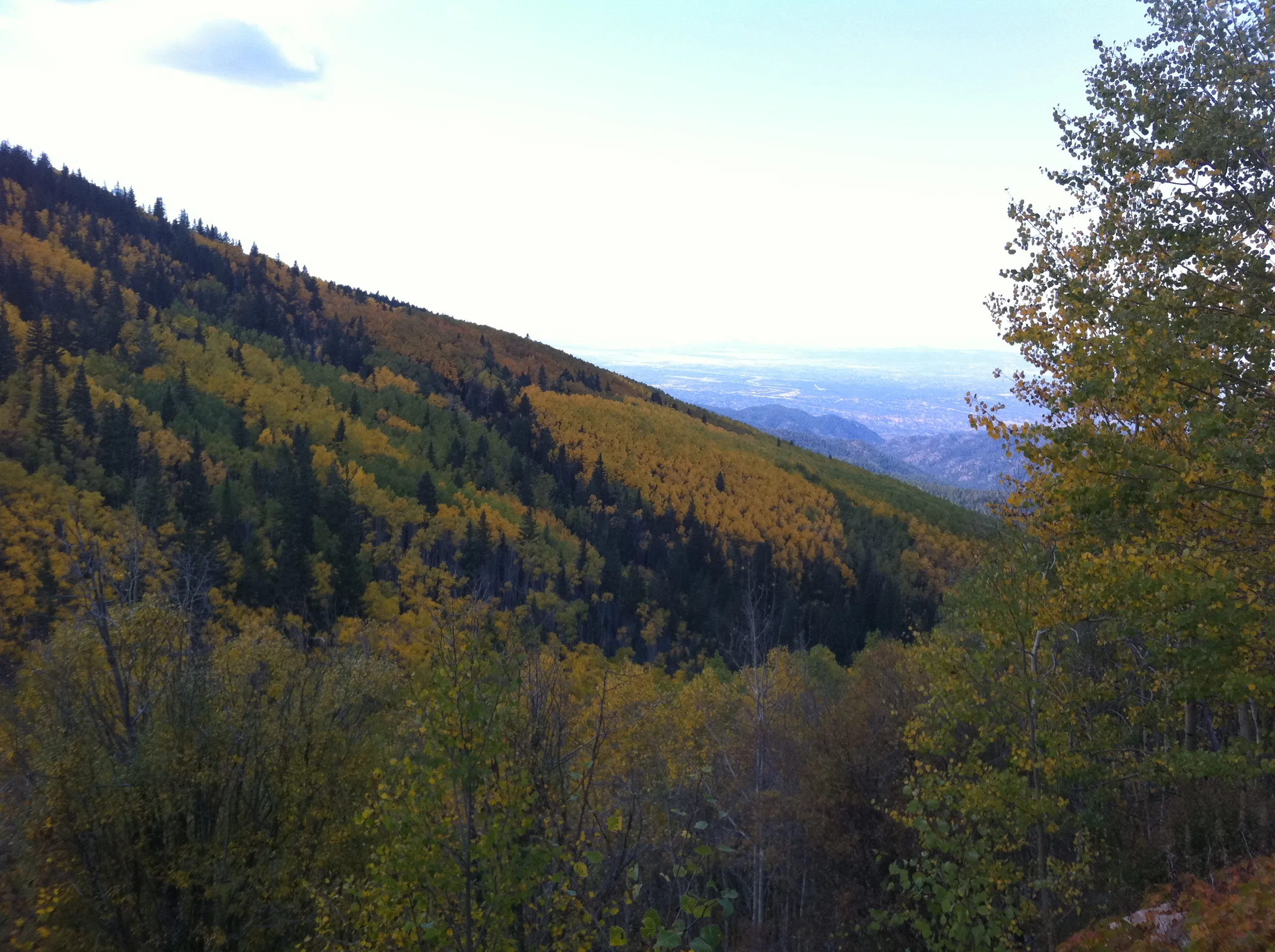 Hike or Bike Aspen Vista