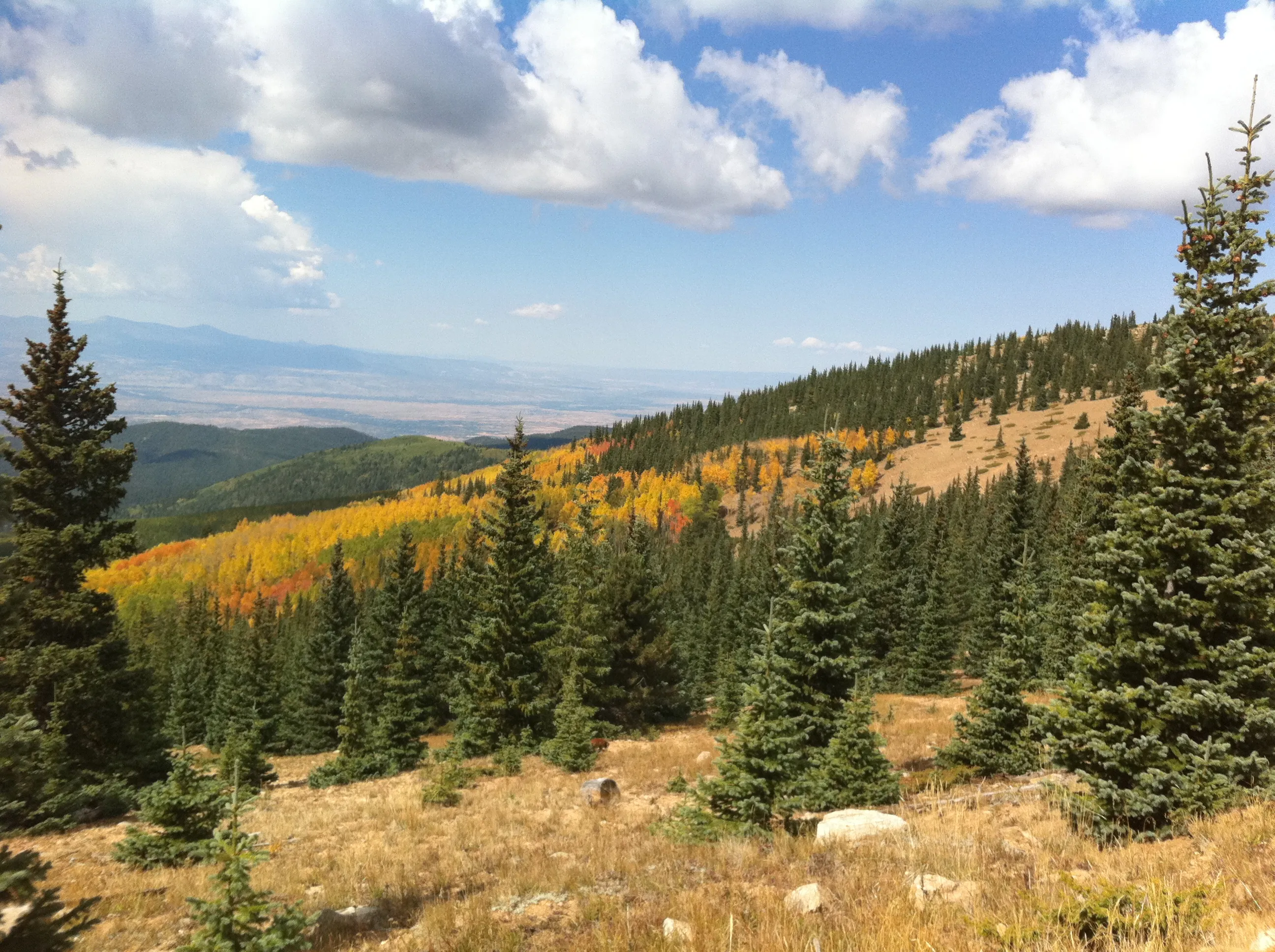 Hike or Bike Aspen Vista