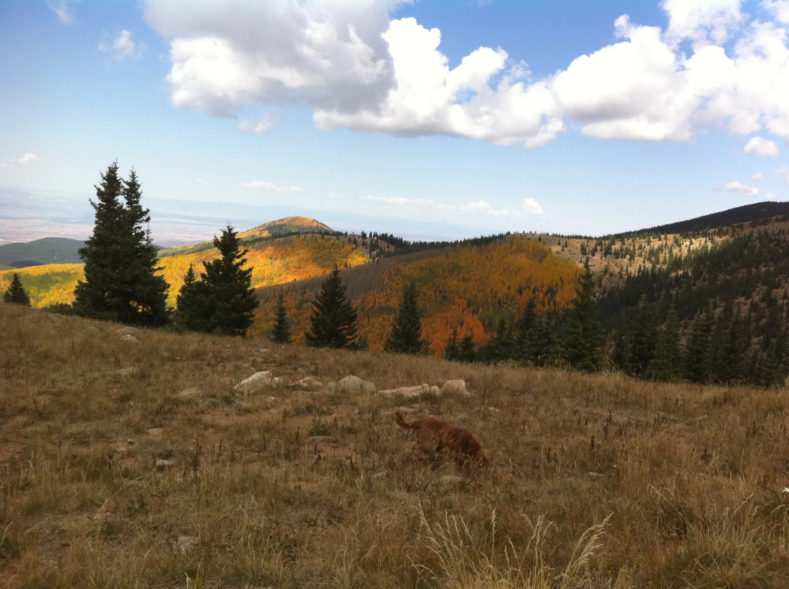 Hike or Bike Aspen Vista