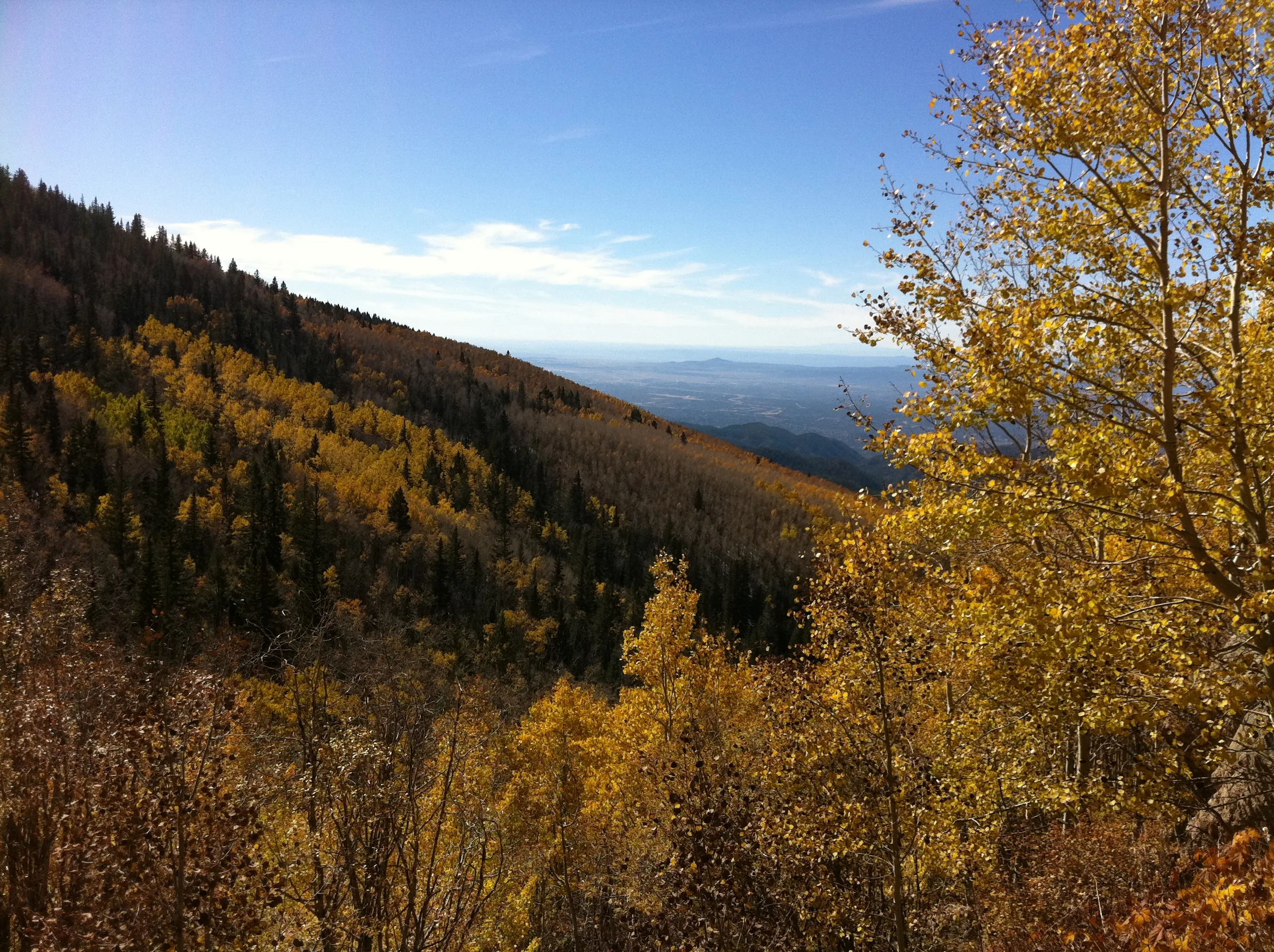 Hike or Bike Aspen Vista