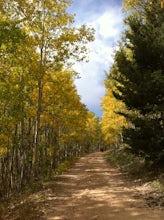 Hike or Bike Aspen Vista