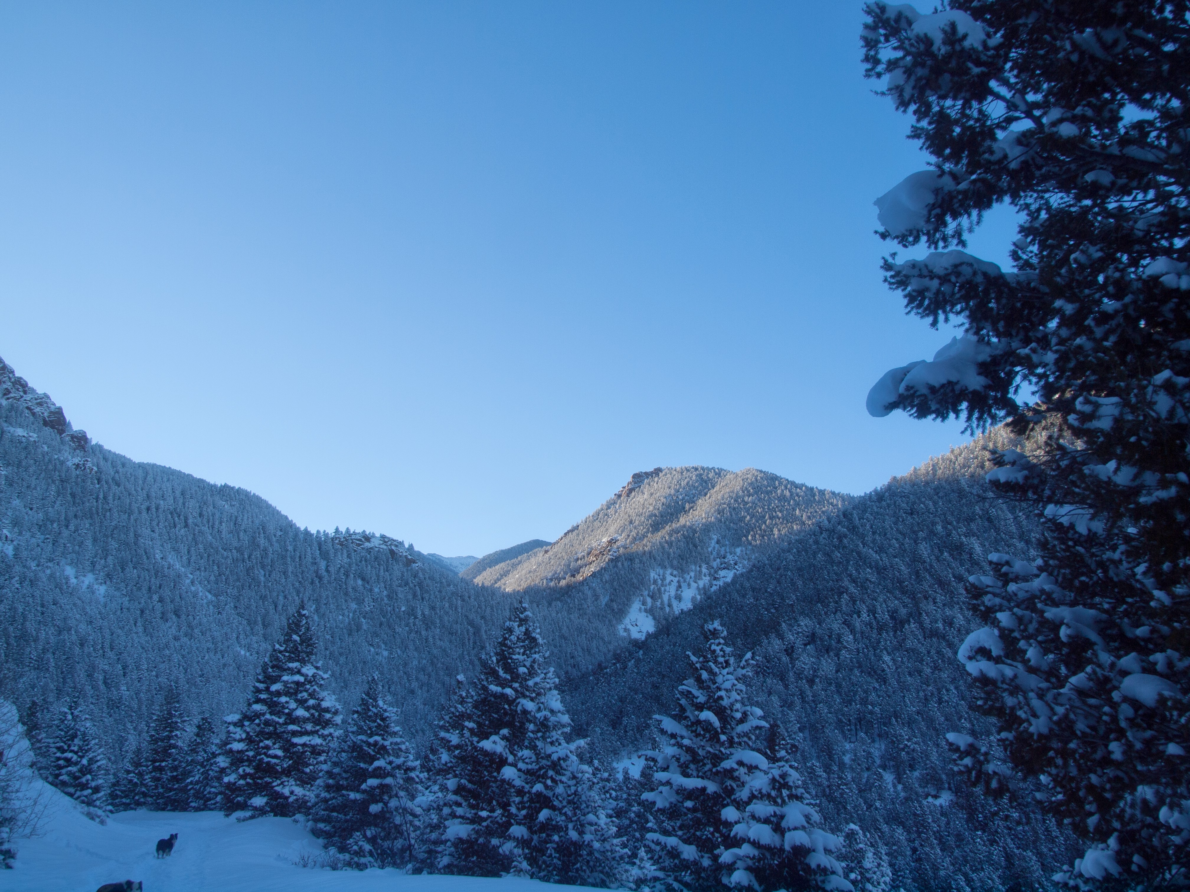 Snowshoe to St. Mary's Falls