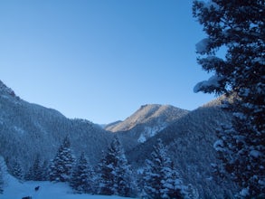 Snowshoe to St. Mary's Falls