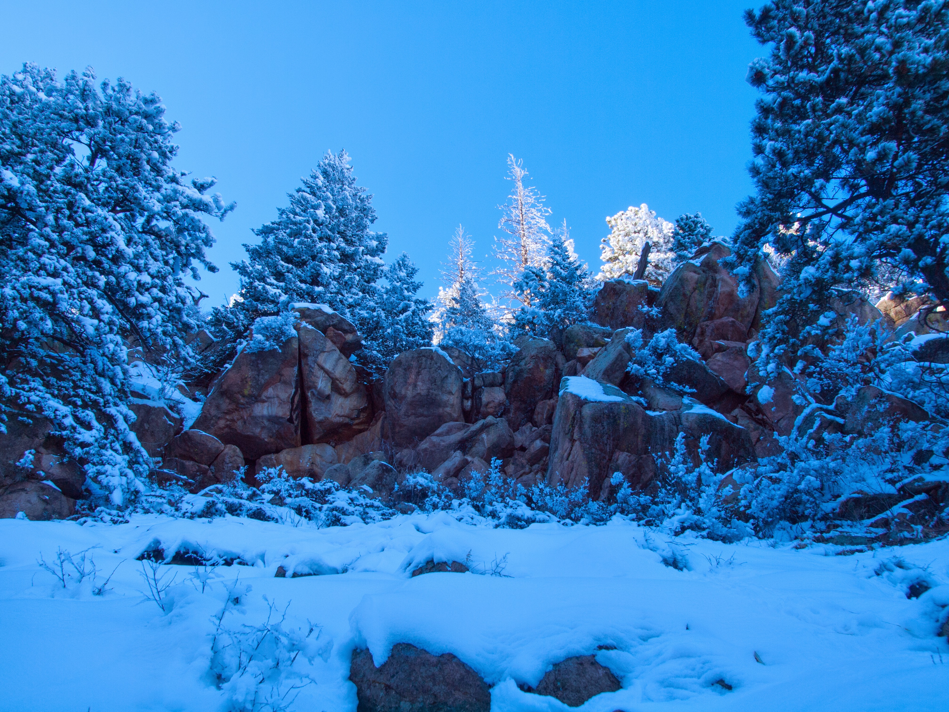 Snowshoe to St. Mary's Falls