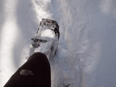 Snowshoe to St. Mary's Falls