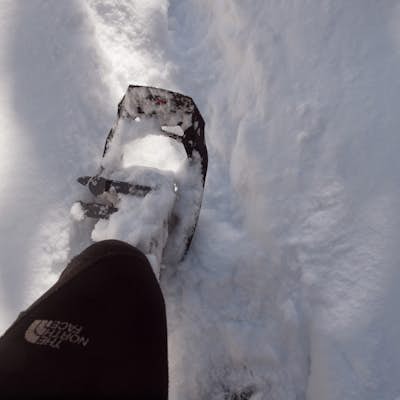 Snowshoe to St. Mary's Falls