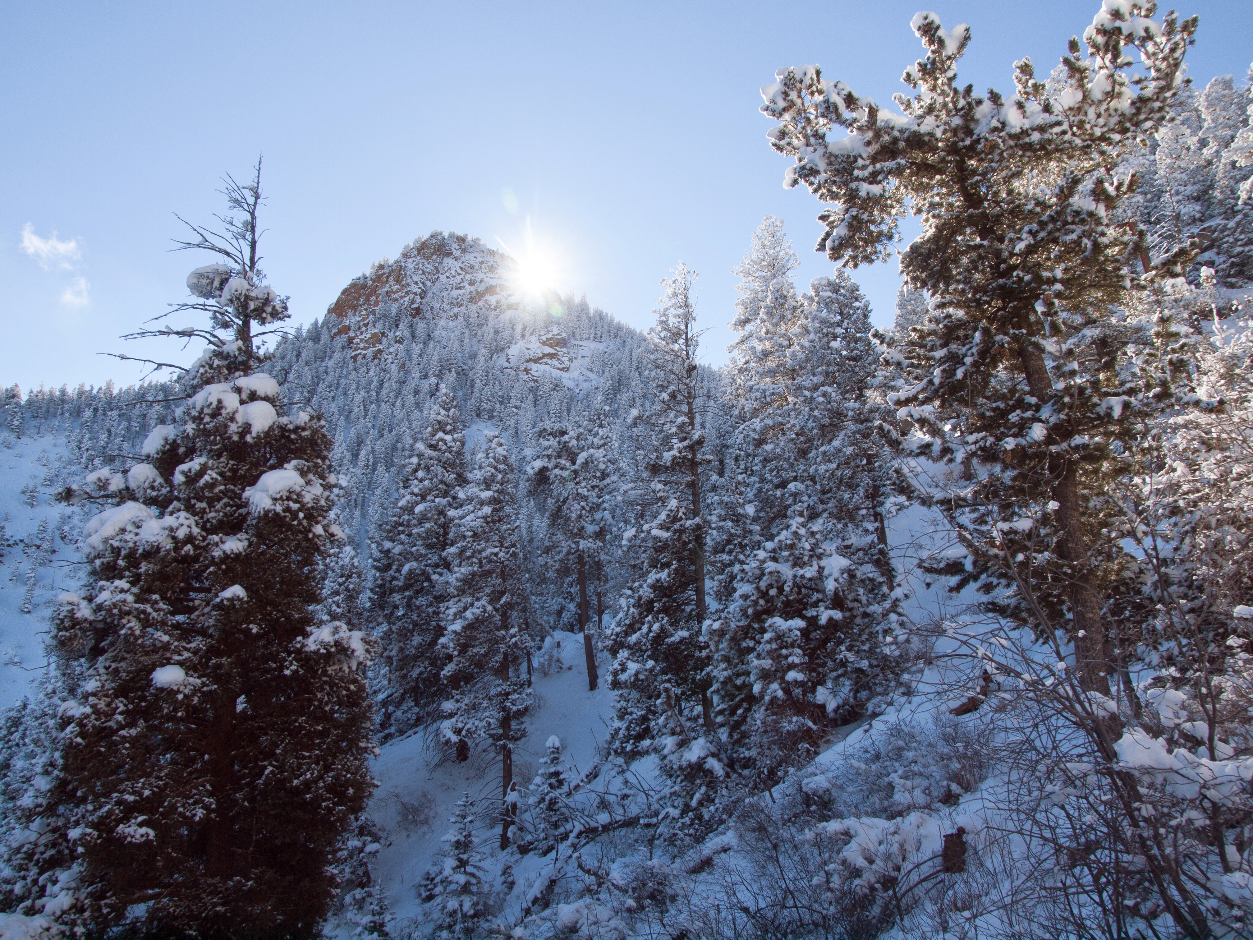 Snowshoe to St. Mary's Falls