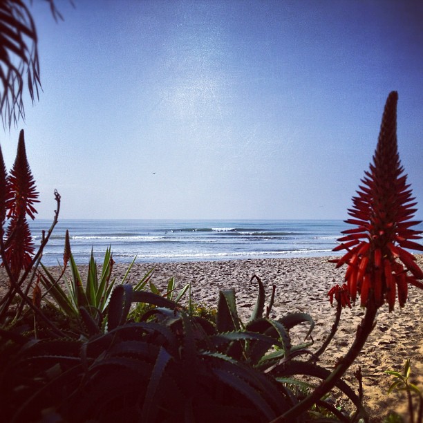 Beach Day at San Onofre