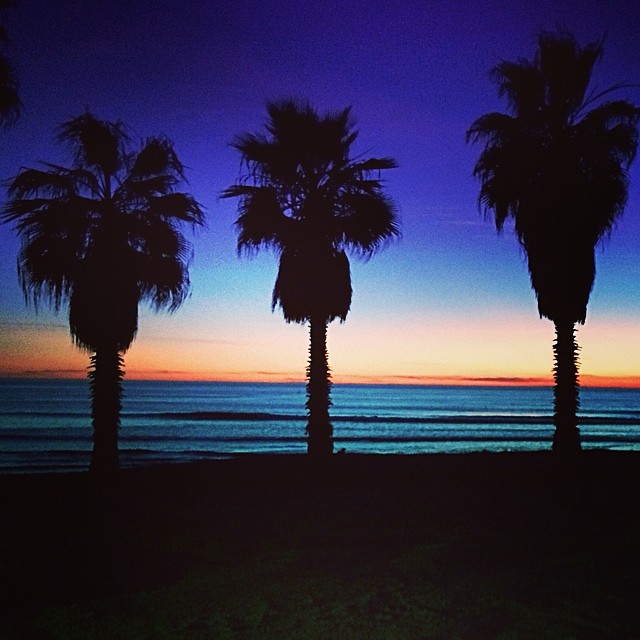 Beach Day at San Onofre