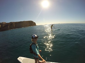 Stand Up Paddle Dana Point Harbor