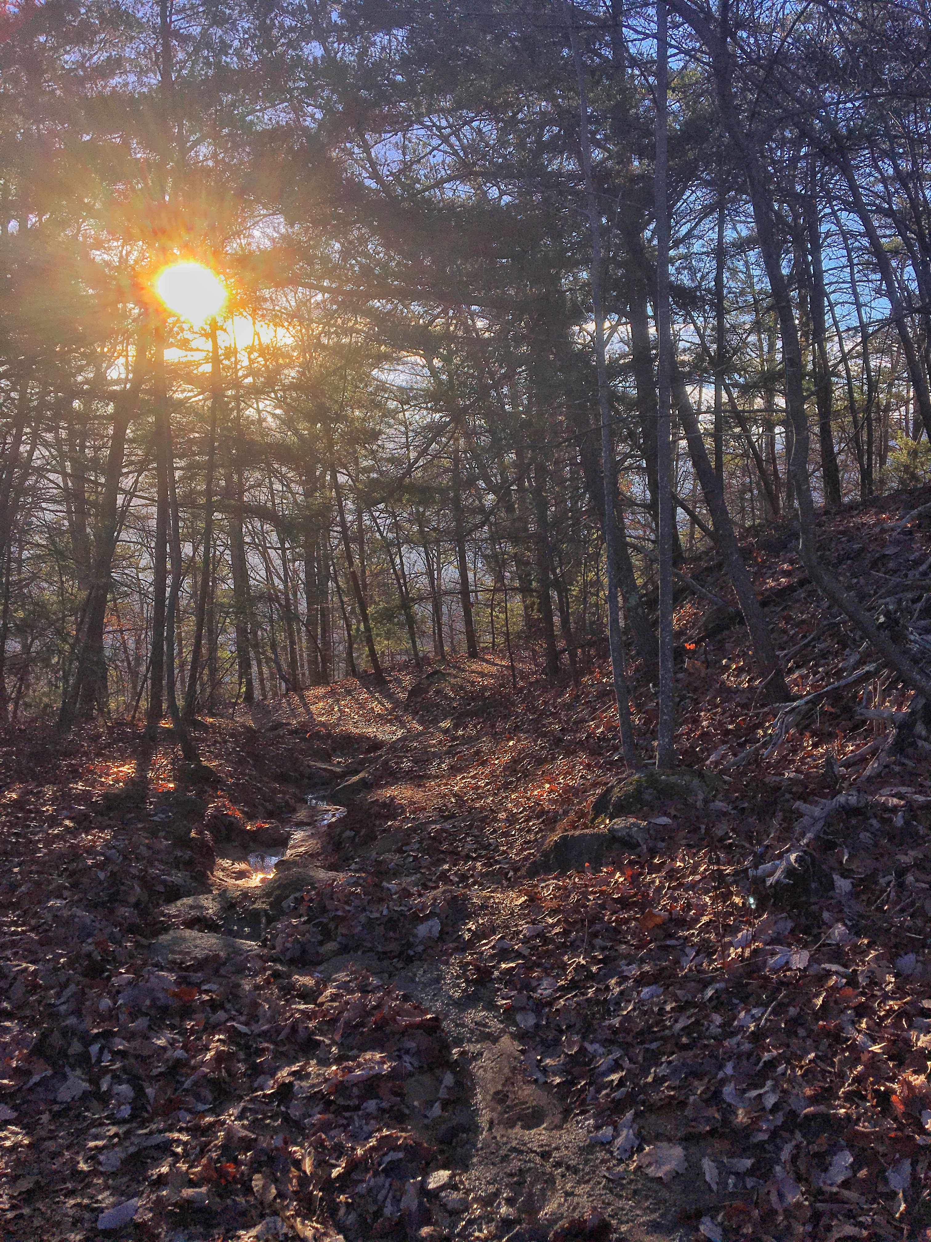 Hike to Party Rock