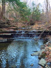 Hike through the Wolf Creek Falls Preserve