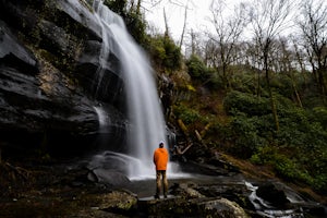 Hike to Falls Branch Falls