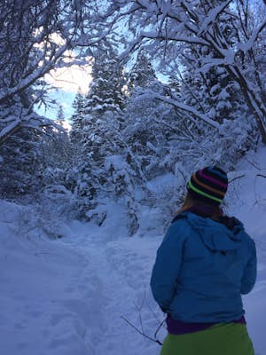 Snowshoeing in Neff's Canyon