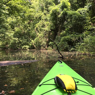 Kayak to Peche Island 