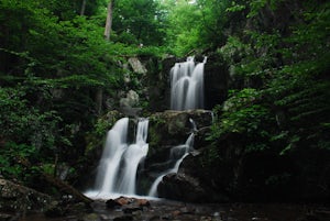 Hike to Doyles Falls 