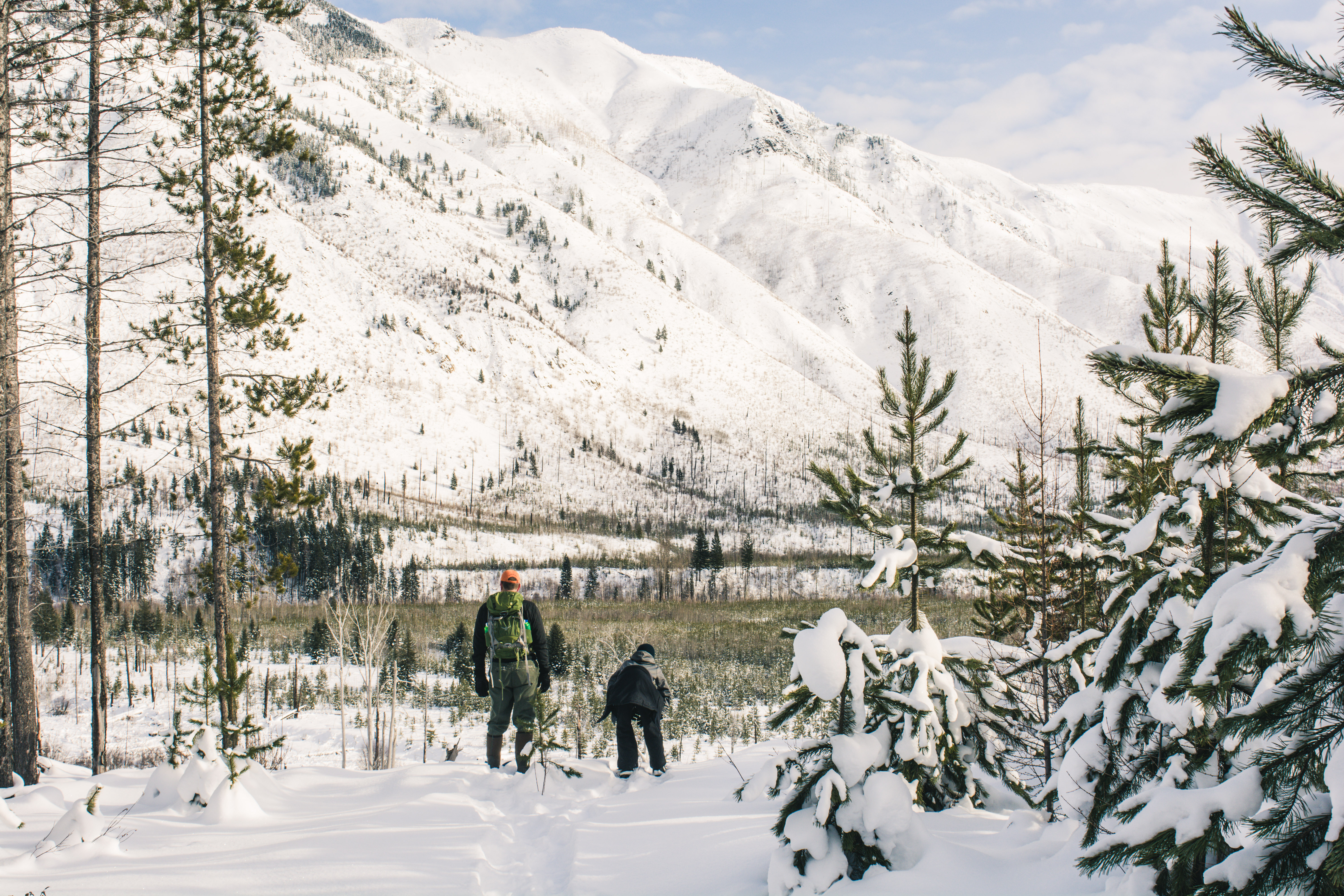 Snowshoe the North Fork Area of the Flathead River, Flathead County, Montana