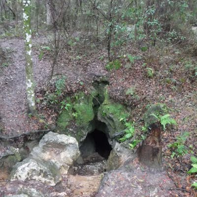 Take a short hike and explore Dames Cave.