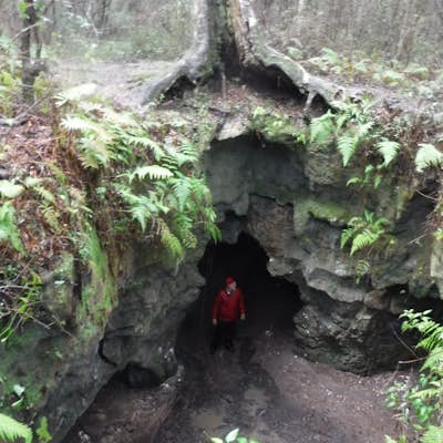 Take a short hike and explore Dames Cave.